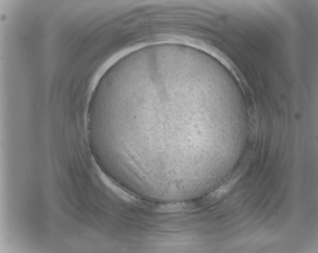 X0000079341535200612082011