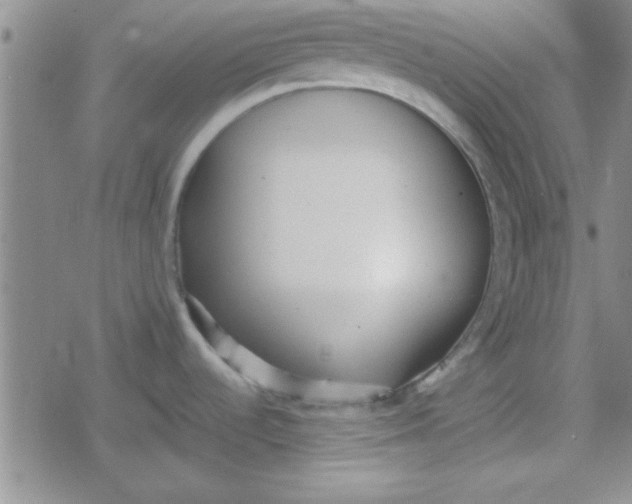 X0000079341536200612082011