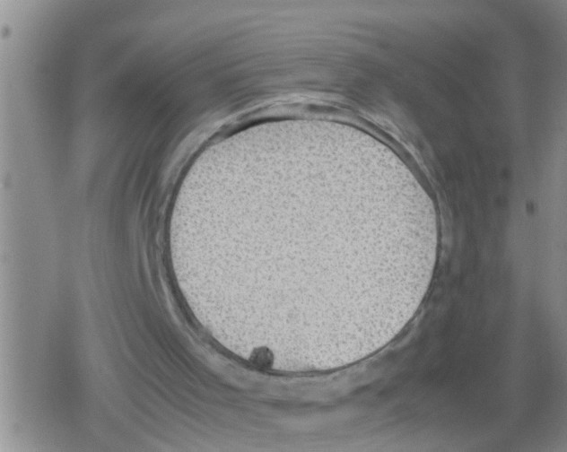 X0000079340001200612151919