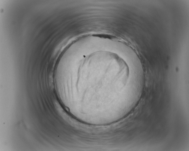 X0000079340002200612151919