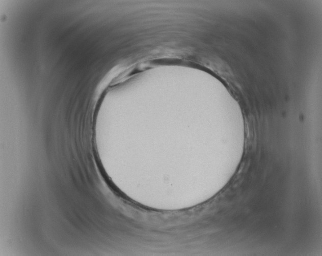 X0000079340003200612151919