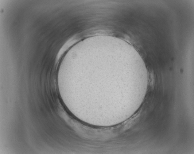 X0000079340004200612151919