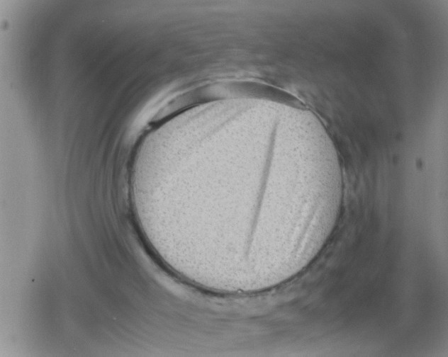 X0000079340005200612151919