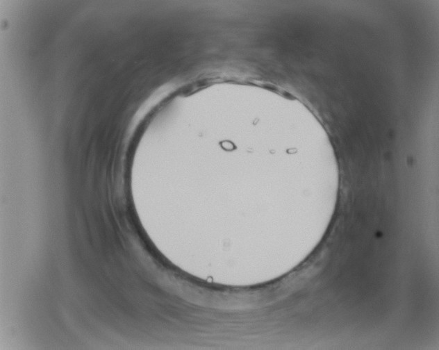 X0000079340008200612151919