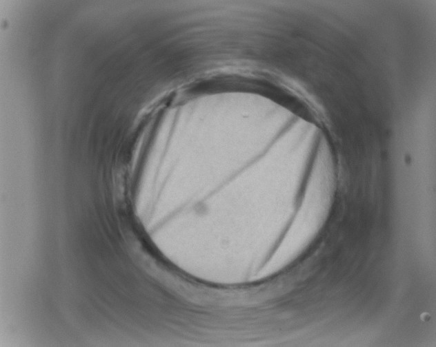 X0000079340010200612151919