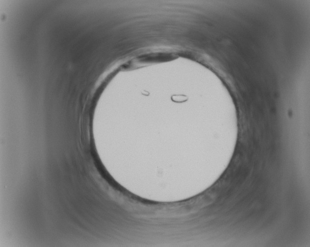 X0000079340011200612151919