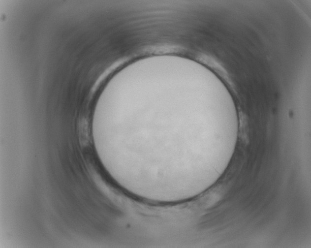 X0000079340012200612151919