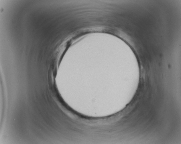 X0000079340013200612151919