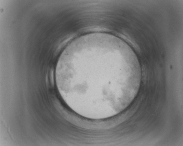 X0000079340014200612151919