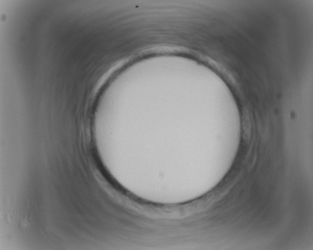 X0000079340015200612151919