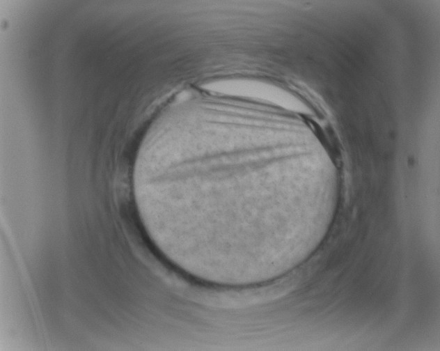 X0000079340017200612151919