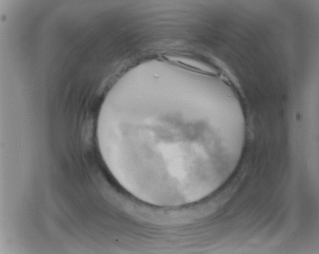 X0000079340018200612151919