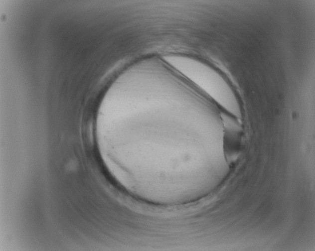 X0000079340019200612151919