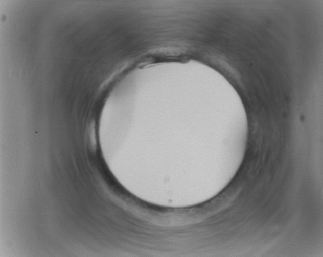 X0000079340020200612151919