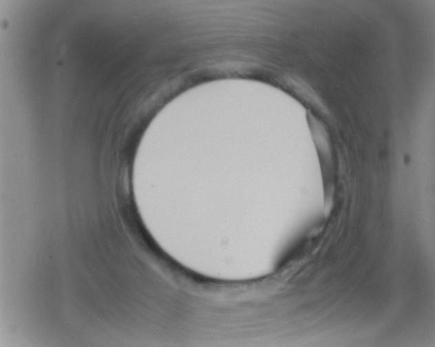 X0000079340021200612151919