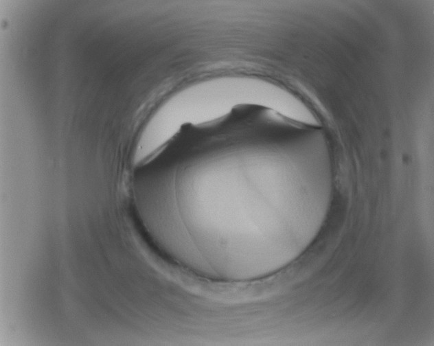 X0000079340023200612151919