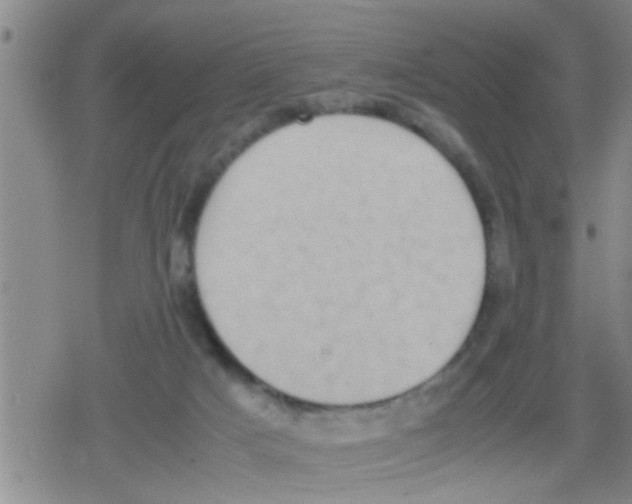 X0000079340025200612151919