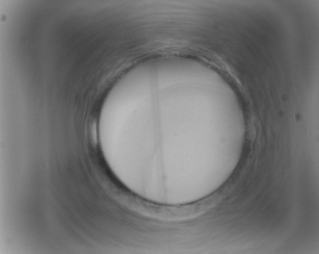 X0000079340027200612151919