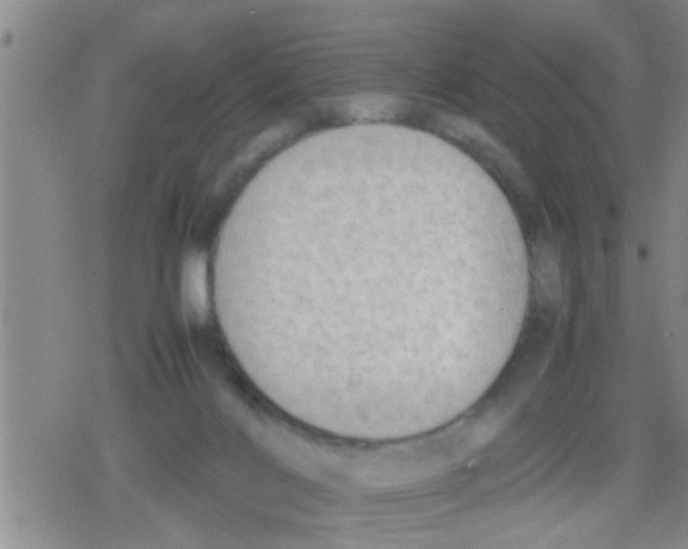 X0000079340028200612151919