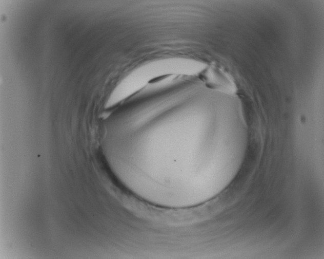 X0000079340031200612151919