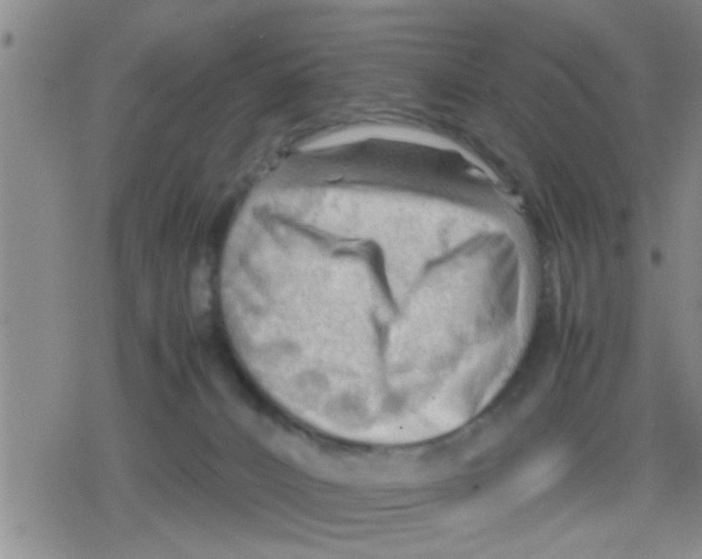 X0000079340032200612151919