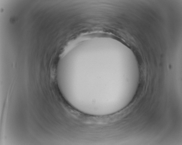 X0000079340033200612151919