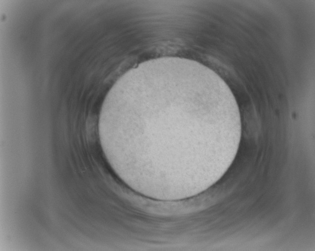 X0000079340034200612151919