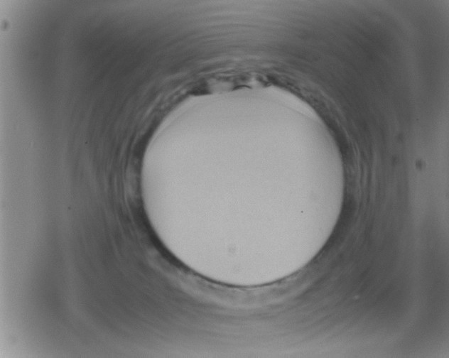 X0000079340035200612151919