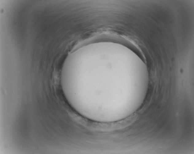 X0000079340037200612151919