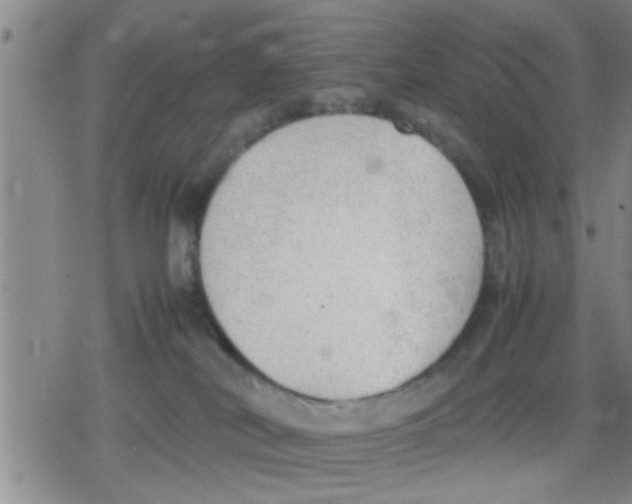 X0000079340038200612151919