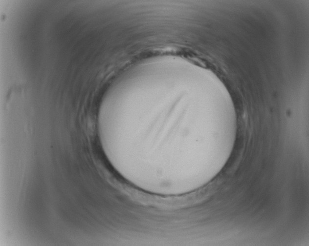 X0000079340039200612151919