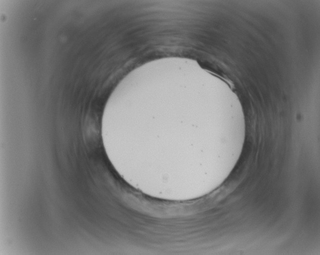 X0000079340040200612151919