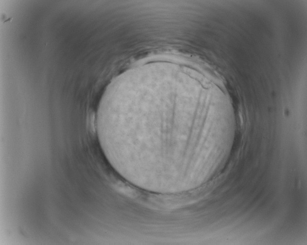 X0000079340041200612151919