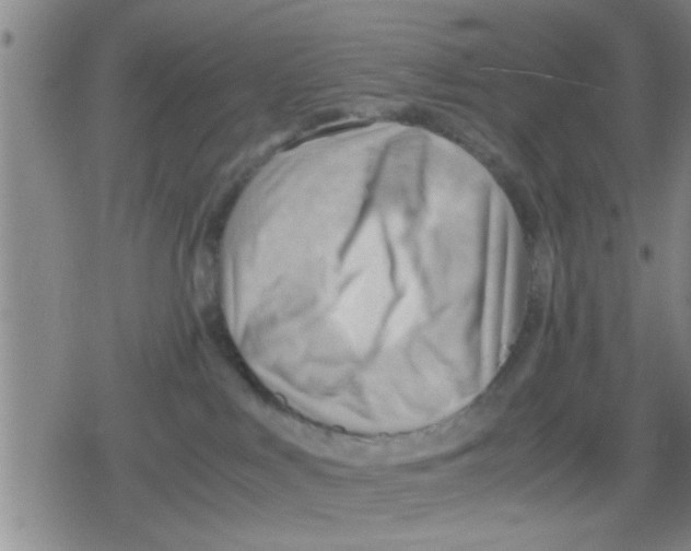 X0000079340043200612151919