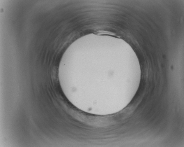 X0000079340044200612151919