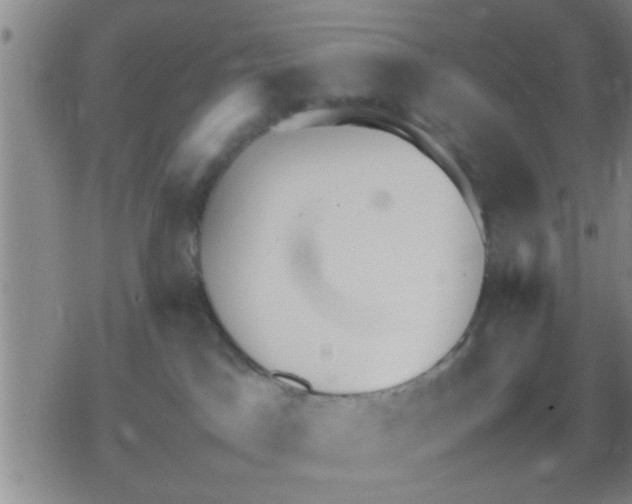 X0000079340045200612151919