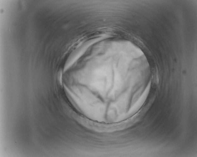 X0000079340047200612151919