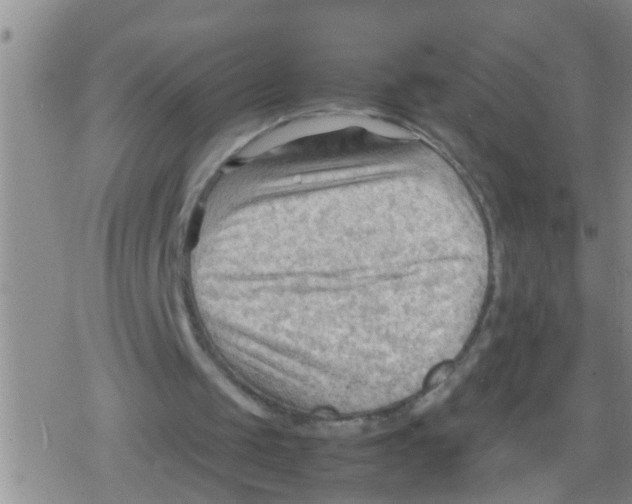 X0000079340049200612151918