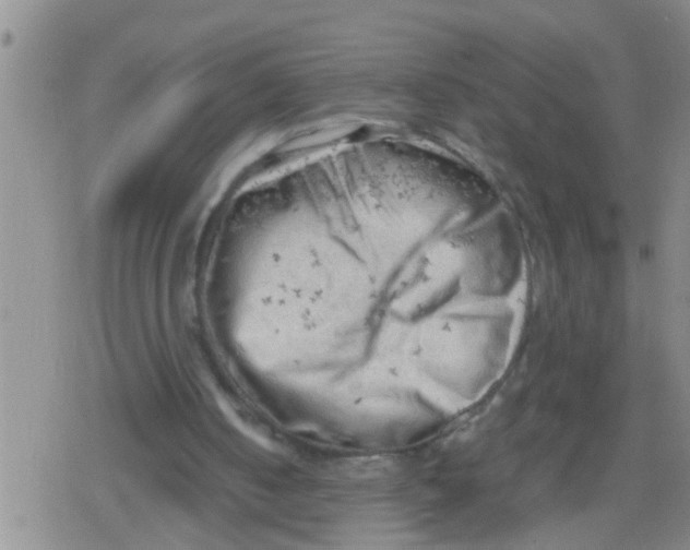 X0000079340050200612151918