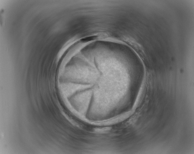 X0000079340051200612151918