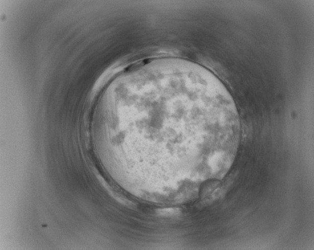 X0000079340053200612151918