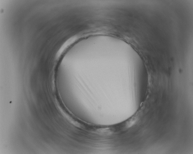 X0000079340054200612151918