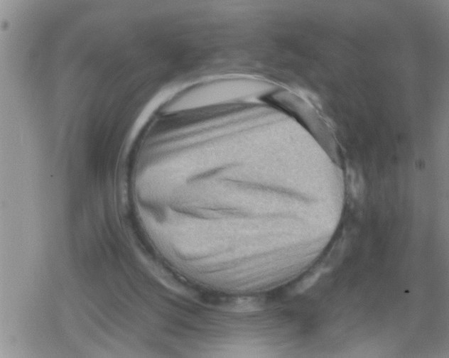 X0000079340056200612151918