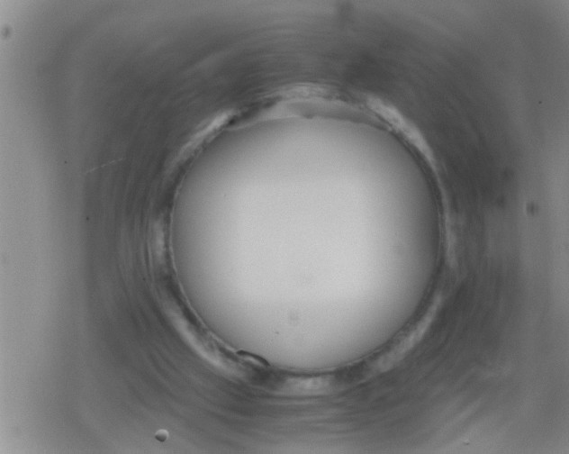 X0000079340057200612151918