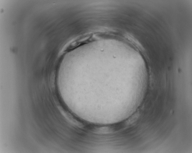 X0000079340058200612151918