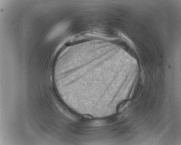 X0000079340059200612151918