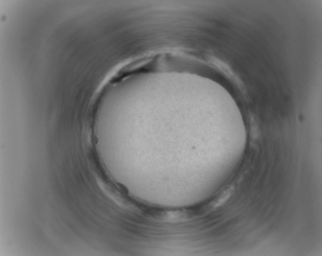 X0000079340060200612151918