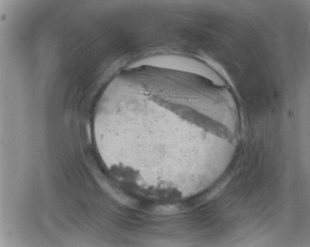 X0000079340061200612151918