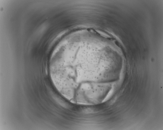 X0000079340062200612151918