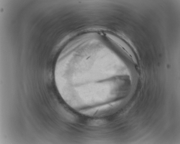 X0000079340063200612151918